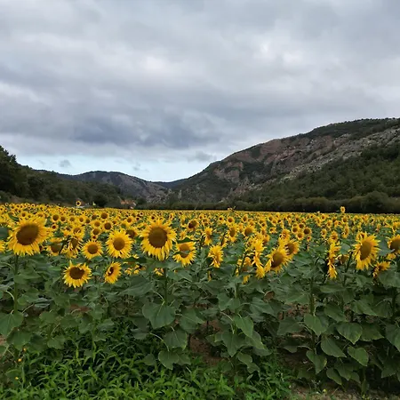 منزل ريفي Rural Rio Molinar