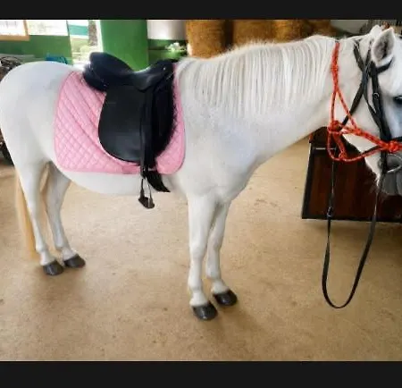 Rural Rio Molinar - Adults Only Séjour à la campagne *