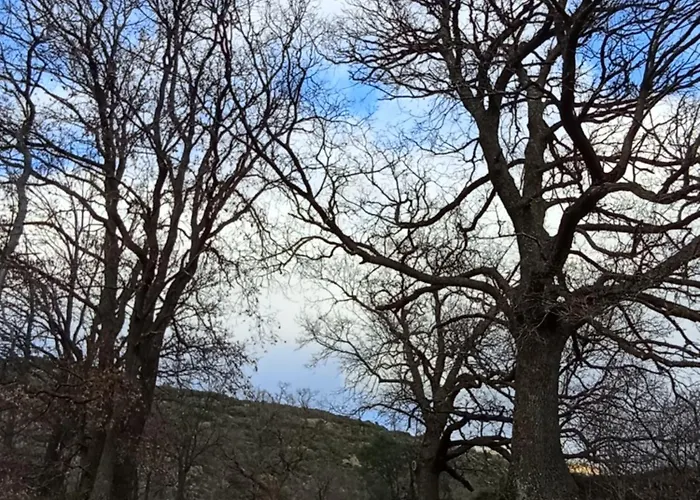 Landhaus Rural Rio Molinar *