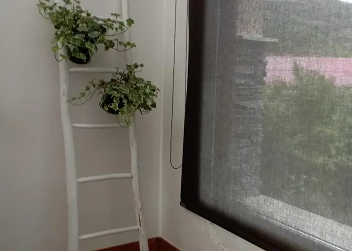 Rural Rio Molinar Ranera