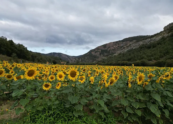 Landhaus Rural Rio Molinar
